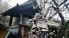 長建寺の建物その他