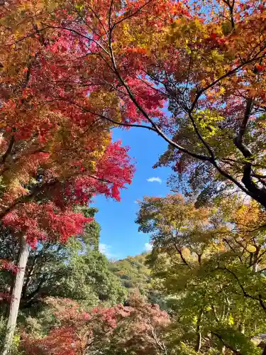 柳谷観音　楊谷寺(京都府)