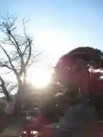 真光寺(千葉県)