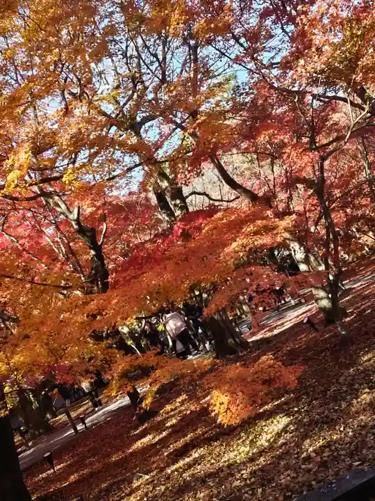 東福禅寺(東福寺)(京都府)