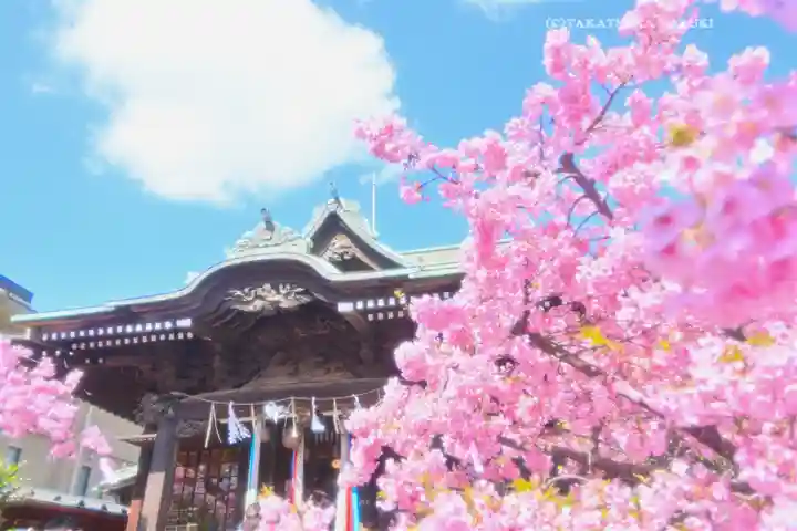 桜神宮(東京都)