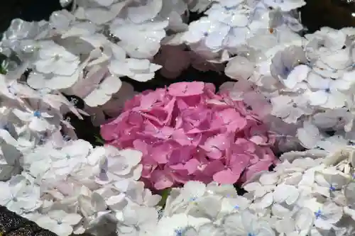 国宝 大法寺の手水舎