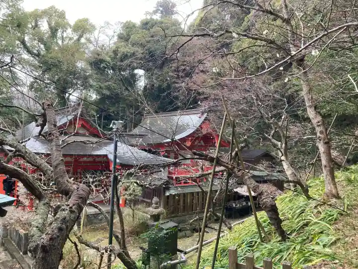 荏柄天神社の{uncategorized: "未分類", other: "その他", undefined: "問題あり", building: "その他建物", grave: "お墓", sacred_gate: "鳥居", guardian: "狛犬", statue: "像", buddha: "仏像", history: "歴史", nature: "自然", garden: "庭園", animal: "動物", pagoda: "塔", temizu: "手水舎", mountain_gate: "山門・神門", sanctuary: "本殿・本堂", subordinate: "末社・摂社", art: "芸術", scenery: "景色", jizo: "地蔵", ema: "絵馬", goshuin: "御朱印", omikuji: "おみくじ", items: "授与品その他", amulet: "お守り", goshuincho: "御朱印帳", eats: "食事", festival: "お祭り", votive_dance: "神楽", shichigosan: "七五三参", wedding: "結婚式", experience: "体験その他", initially: "初詣", around: "周辺", anti_infection: "感染症対策"}