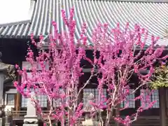 願正寺の建物その他