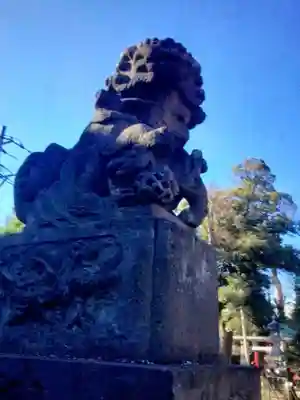 高円寺天祖神社(東京都)