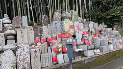 安岡寺(大阪府)