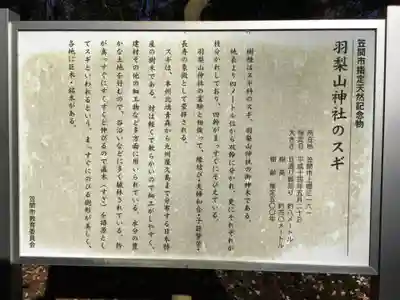 羽梨山神社の歴史