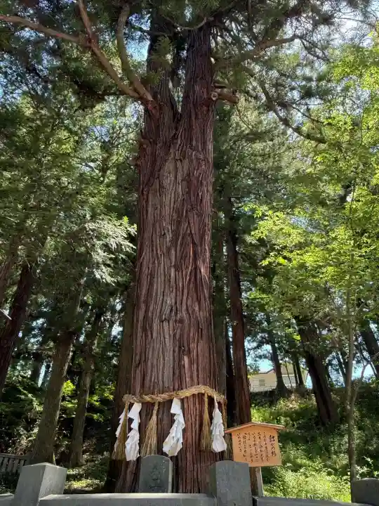 諏訪大社下社春宮(長野県)