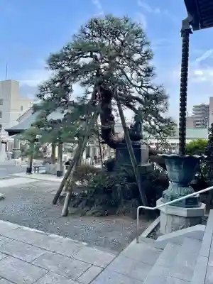 浄念寺の{uncategorized: "未分類", other: "その他", undefined: "問題あり", building: "その他建物", grave: "お墓", sacred_gate: "鳥居", guardian: "狛犬", statue: "像", buddha: "仏像", history: "歴史", nature: "自然", garden: "庭園", animal: "動物", pagoda: "塔", temizu: "手水舎", mountain_gate: "山門・神門", sanctuary: "本殿・本堂", subordinate: "末社・摂社", art: "芸術", scenery: "景色", jizo: "地蔵", ema: "絵馬", goshuin: "御朱印", omikuji: "おみくじ", items: "授与品その他", amulet: "お守り", goshuincho: "御朱印帳", eats: "食事", festival: "お祭り", votive_dance: "神楽", shichigosan: "七五三参", wedding: "結婚式", experience: "体験その他", initially: "初詣", around: "周辺", anti_infection: "感染症対策"}