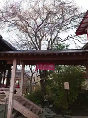 差出磯大嶽山神社 仕事と健康と厄よけの神さま(山梨県)