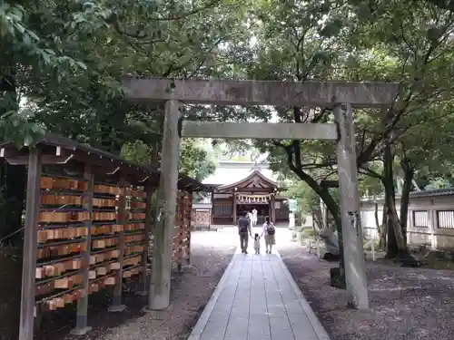 田縣神社の鳥居