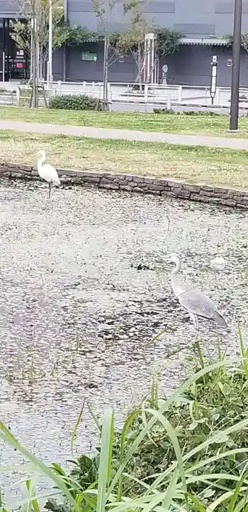 花之木稲荷神社の周辺