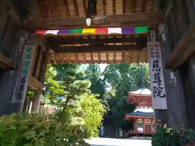 慈尊院(和歌山県)