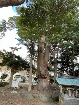 部田神社(静岡県)