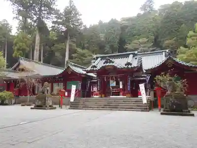 箱根神社の本殿・本堂