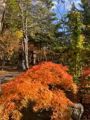 岩見澤神社(北海道)
