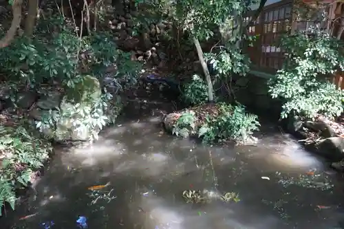 石浦神社の自然