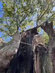 阿邪訶根神社(福島県)