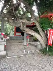 豊藤稲荷神社の自然