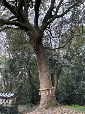 賀茂神社(徳島県)