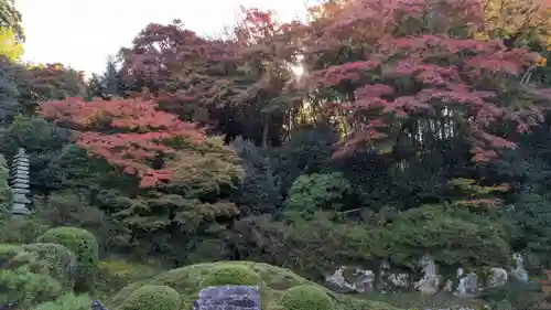 青蓮院門跡(京都府)
