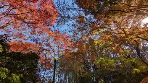 常照寺(京都府)