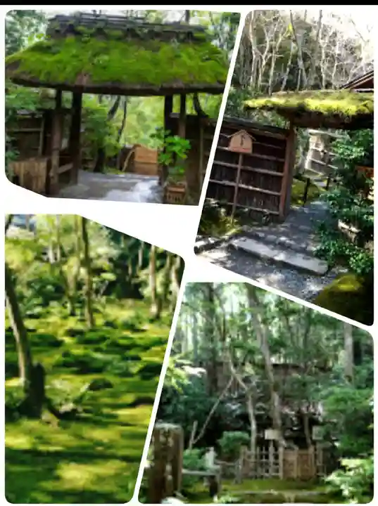 祇王寺(京都府)