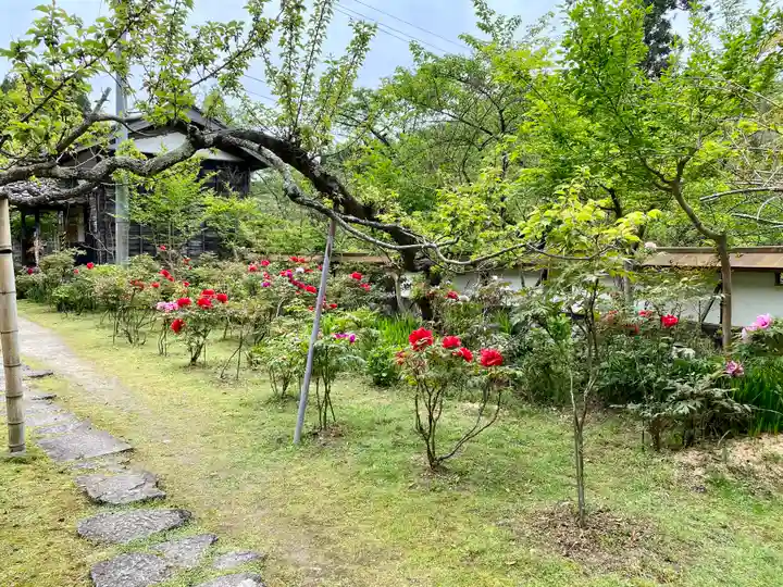 長谷寺(新潟県)