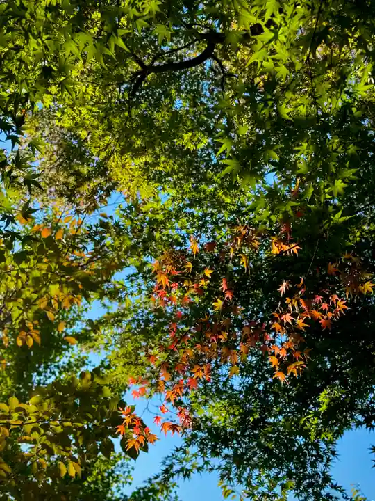 伊達神社(北海道)
