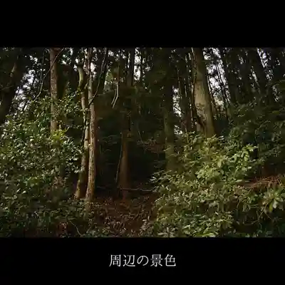 水上惣水神の周辺