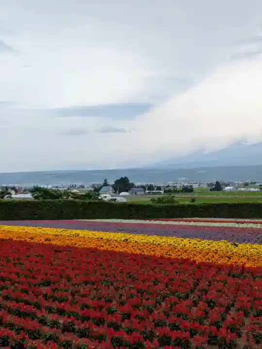 富良野神社の周辺