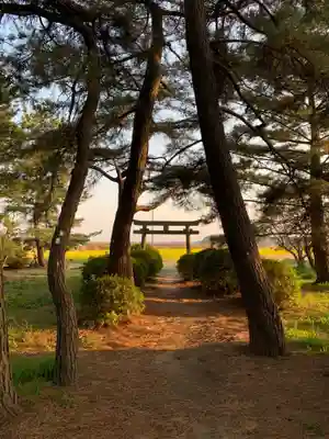 水神社(千葉県)
