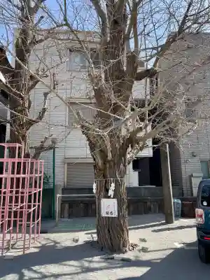 女躰大神の{uncategorized: "未分類", other: "その他", undefined: "問題あり", building: "その他建物", grave: "お墓", sacred_gate: "鳥居", guardian: "狛犬", statue: "像", buddha: "仏像", history: "歴史", nature: "自然", garden: "庭園", animal: "動物", pagoda: "塔", temizu: "手水舎", mountain_gate: "山門・神門", sanctuary: "本殿・本堂", subordinate: "末社・摂社", art: "芸術", scenery: "景色", jizo: "地蔵", ema: "絵馬", goshuin: "御朱印", omikuji: "おみくじ", items: "授与品その他", amulet: "お守り", goshuincho: "御朱印帳", eats: "食事", festival: "お祭り", votive_dance: "神楽", shichigosan: "七五三参", wedding: "結婚式", experience: "体験その他", initially: "初詣", around: "周辺", anti_infection: "感染症対策"}