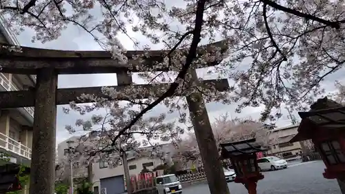 六孫王神社(京都府)