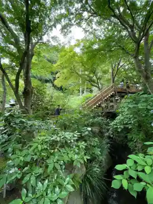 明月院(神奈川県)