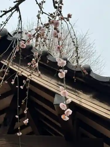 柏神社(千葉県)
