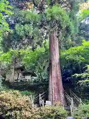 八女津媛神社(福岡県)