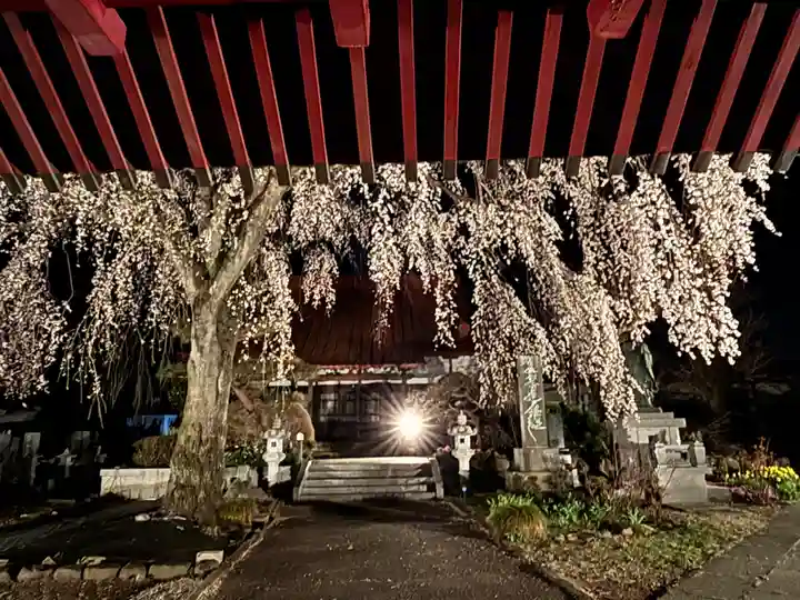 妙道寺(栃木県)