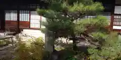 大応山慈光院裕正寺(京都府)