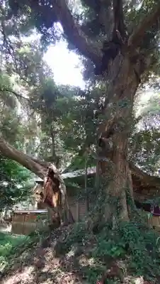 甲頭稲荷神社のその他建物