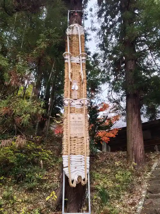 大蔵寺の建物その他