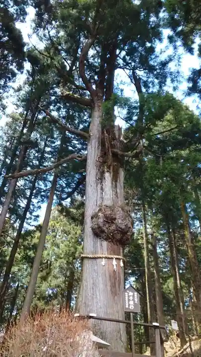 身延山奥之院思親閣(山梨県)