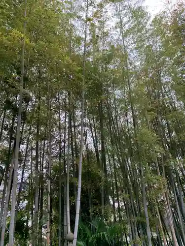 陽林寺(神奈川県)