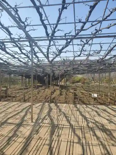 寺岡山元三大師の自然