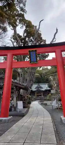 伊古奈比咩命神社の鳥居