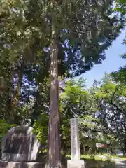 冨士御室浅間神社(山梨県)