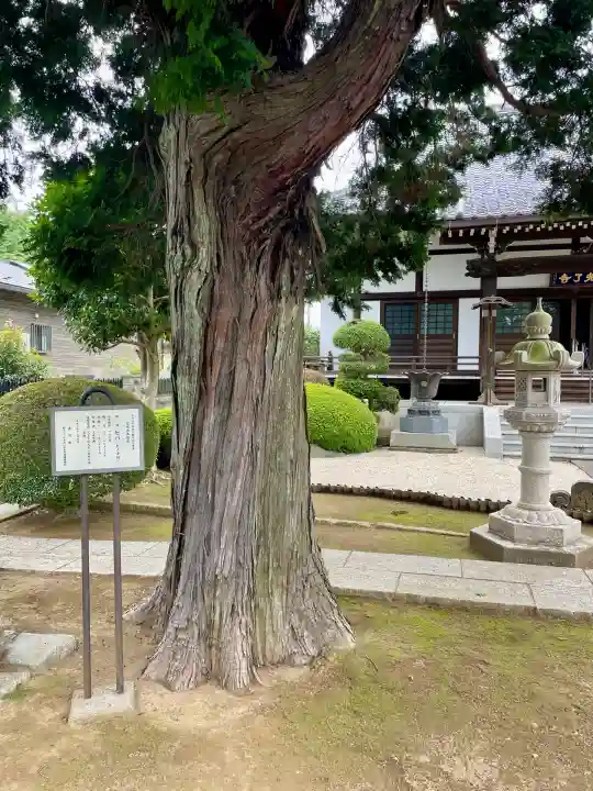 光了寺(茨城県)