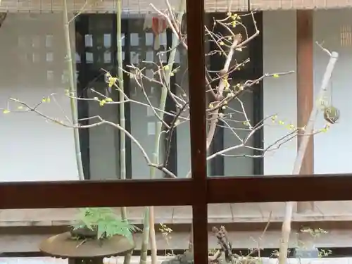 遠照山 光明寺（尼崎大仏）(兵庫県)