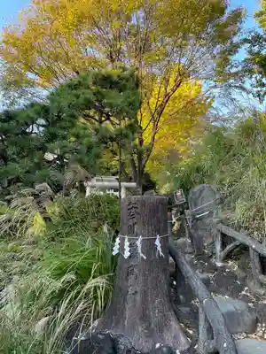 鳩森八幡神社(東京都)