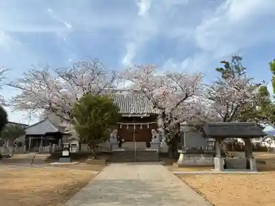 栖養八幡神社(徳島県)